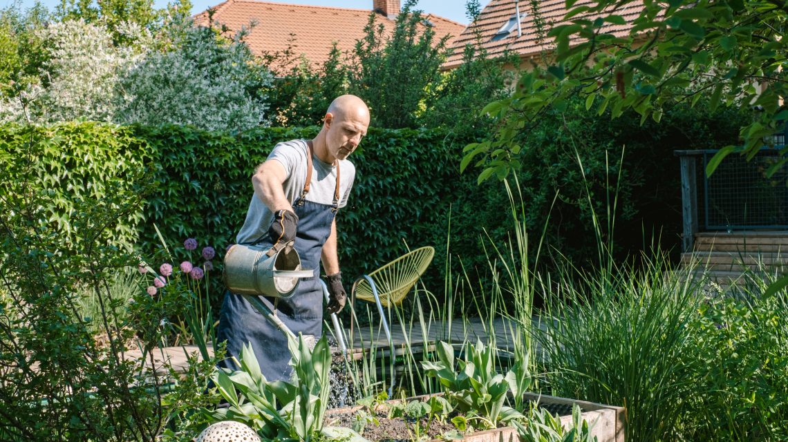 ferdinand leffler, jedlá zahrada, zalévání, zalévání trvalek